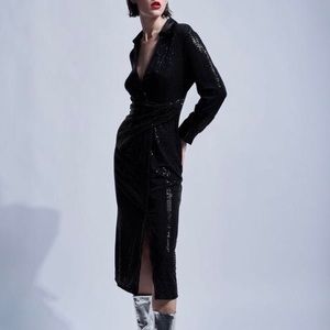 Zara Sequin dress